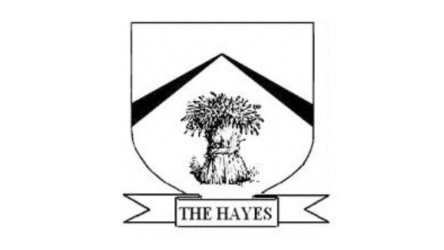 The Hayes Primary School